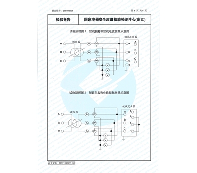 S22-M-400能(néng)源效率檢驗報告