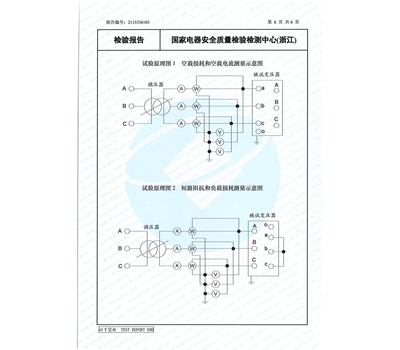 S22-M-2000能(néng)源效率檢驗報告